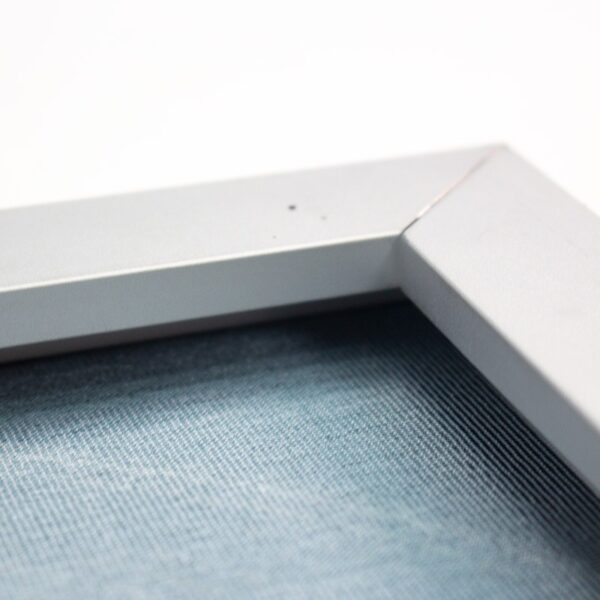 SEG Frame