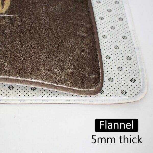 Floor Mats